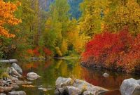 Fall Wallpaper Autumn Autumn Wallpaper Background, Beautiful Picture Of Fall Season, Fall ...